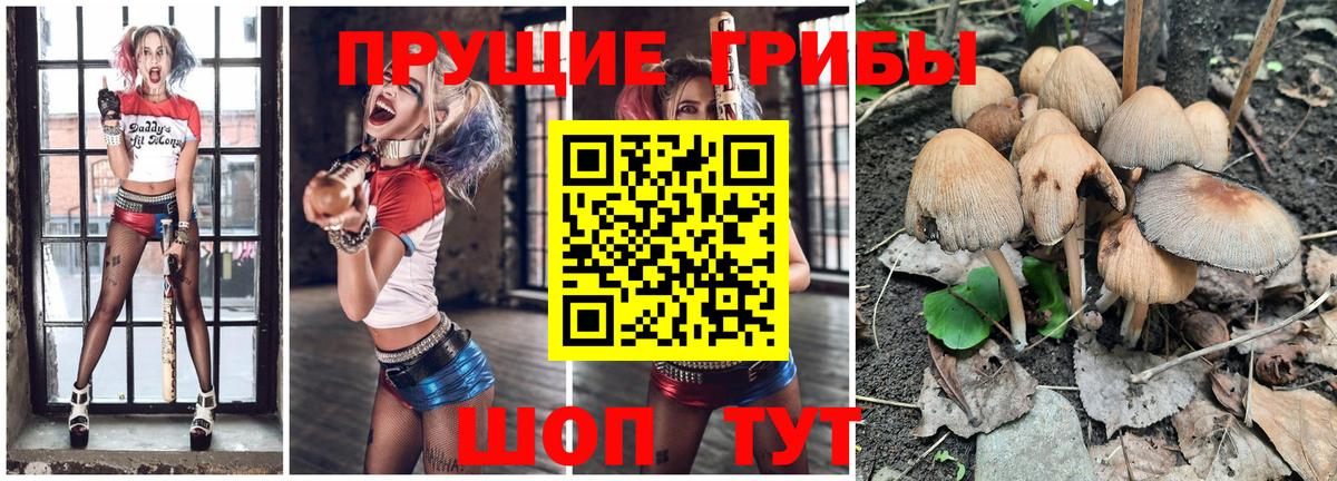 Псилоцибиновые грибы Cubensis  Краснокамск 