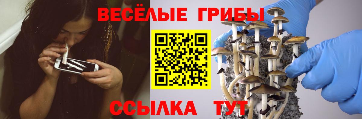 Галлюциногенные грибы мицелий Краснокамск